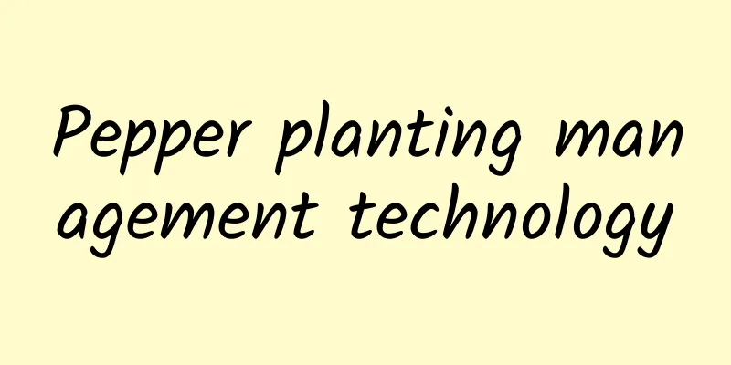 Pepper planting management technology