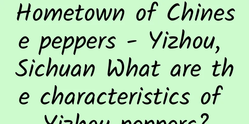 Hometown of Chinese peppers - Yizhou, Sichuan What are the characteristics of Yizhou peppers?