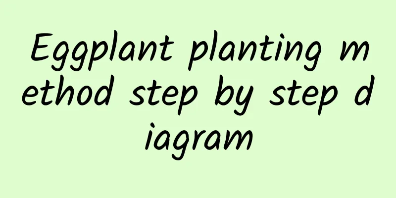 Eggplant planting method step by step diagram