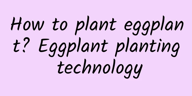 How to plant eggplant? Eggplant planting technology