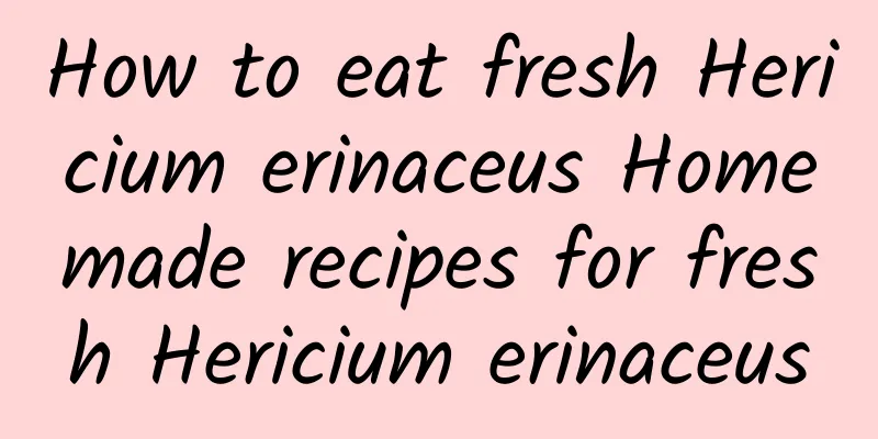 How to eat fresh Hericium erinaceus Homemade recipes for fresh Hericium erinaceus