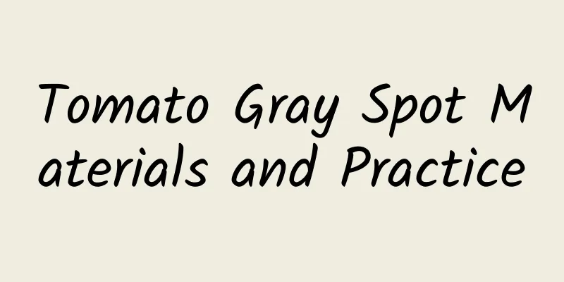 Tomato Gray Spot Materials and Practice