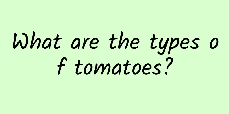 What are the types of tomatoes?