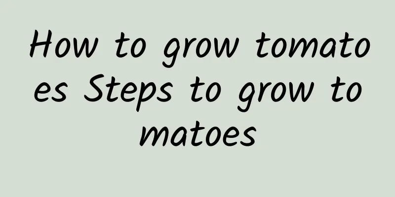 How to grow tomatoes Steps to grow tomatoes