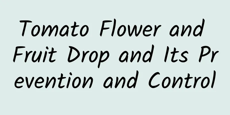 Tomato Flower and Fruit Drop and Its Prevention and Control