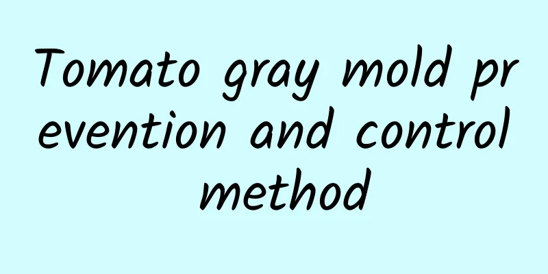 Tomato gray mold prevention and control method