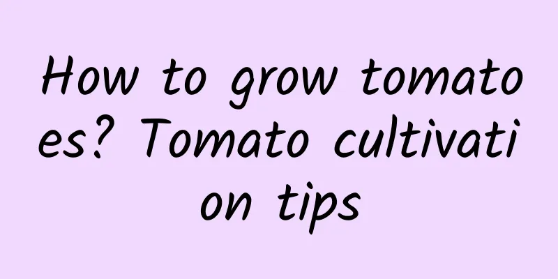 How to grow tomatoes? Tomato cultivation tips