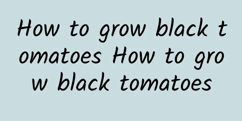 How to grow black tomatoes How to grow black tomatoes