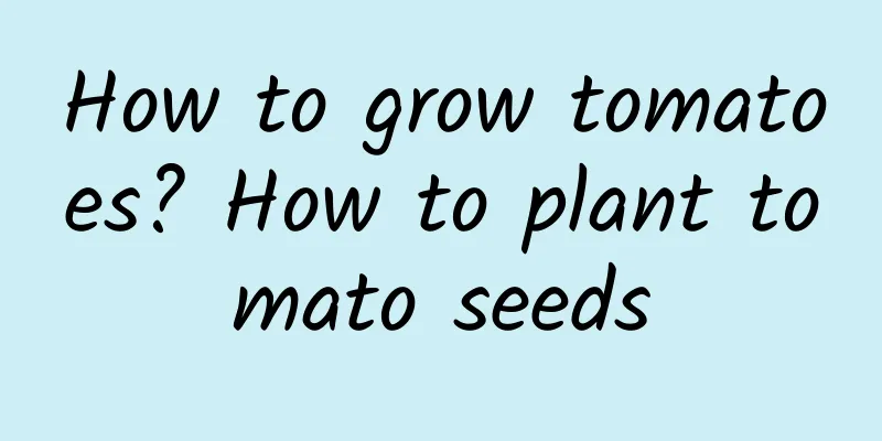 How to grow tomatoes? How to plant tomato seeds