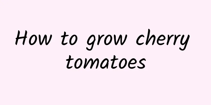 How to grow cherry tomatoes