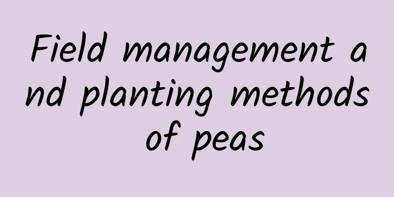 Field management and planting methods of peas