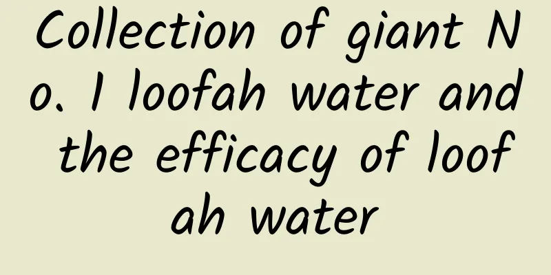 Collection of giant No. 1 loofah water and the efficacy of loofah water