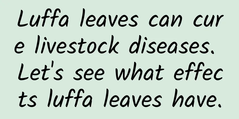 Luffa leaves can cure livestock diseases. Let's see what effects luffa leaves have.