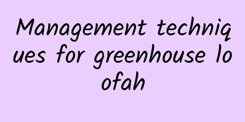 Management techniques for greenhouse loofah