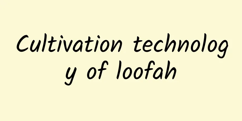 Cultivation technology of loofah