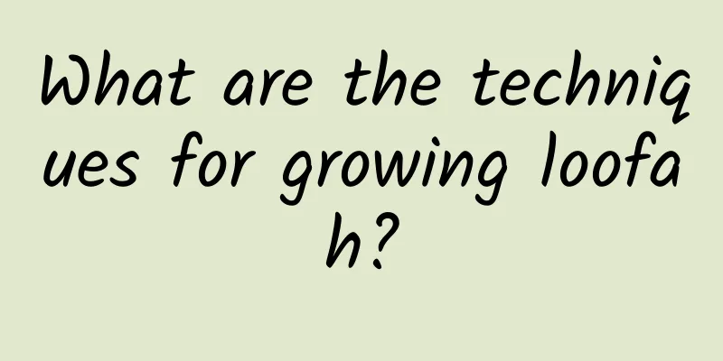 What are the techniques for growing loofah?