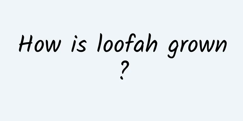 How is loofah grown?