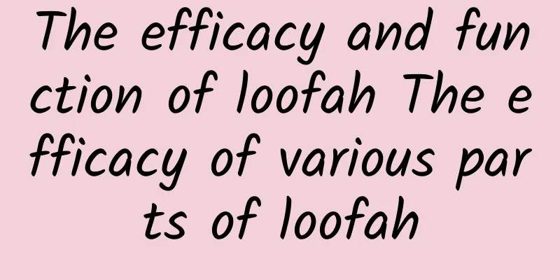 The efficacy and function of loofah The efficacy of various parts of loofah