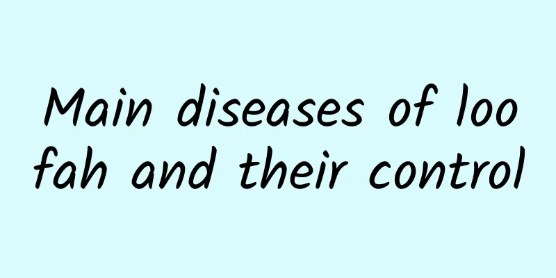 Main diseases of loofah and their control