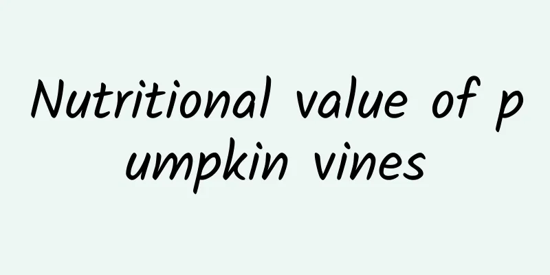 Nutritional value of pumpkin vines