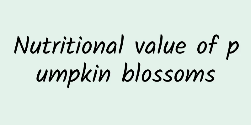 Nutritional value of pumpkin blossoms