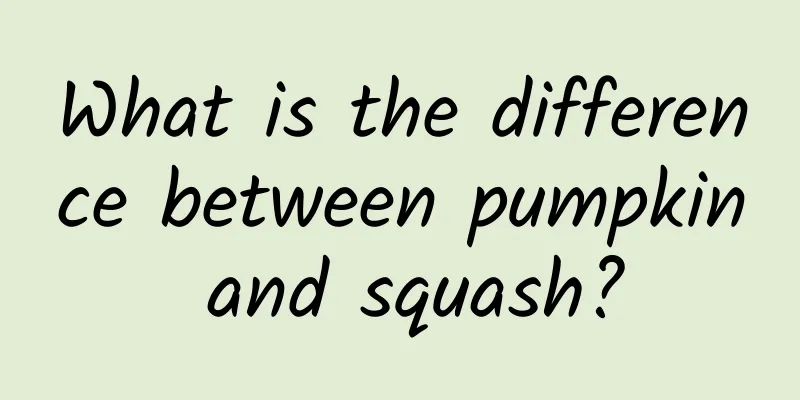 What is the difference between pumpkin and squash?