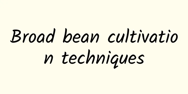 Broad bean cultivation techniques