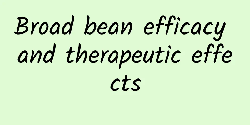 Broad bean efficacy and therapeutic effects