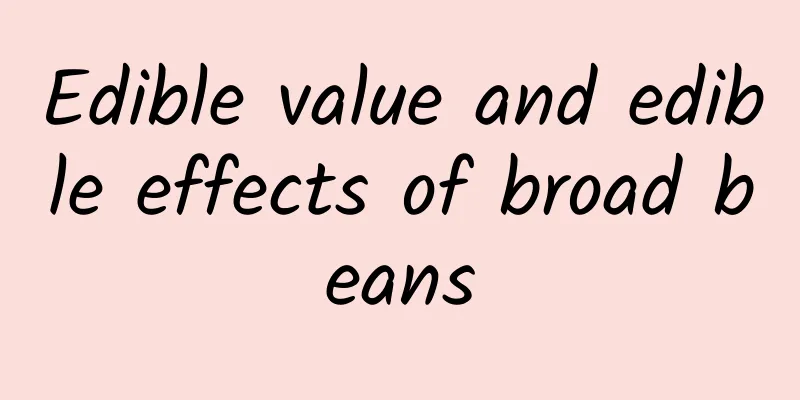 Edible value and edible effects of broad beans