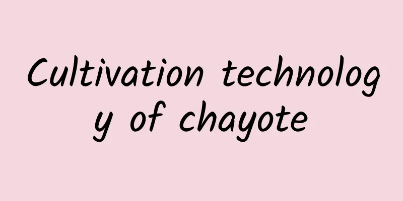 Cultivation technology of chayote