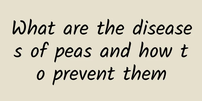 What are the diseases of peas and how to prevent them