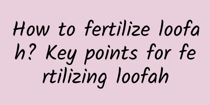 How to fertilize loofah? Key points for fertilizing loofah