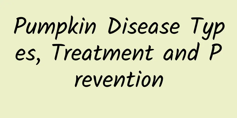 Pumpkin Disease Types, Treatment and Prevention