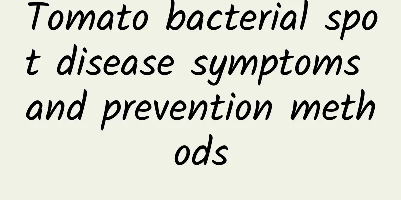 Tomato bacterial spot disease symptoms and prevention methods