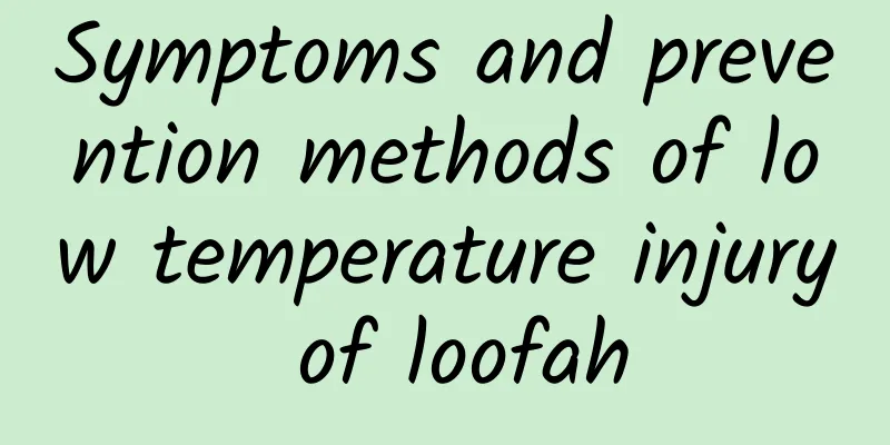 Symptoms and prevention methods of low temperature injury of loofah