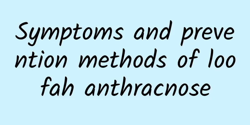 Symptoms and prevention methods of loofah anthracnose