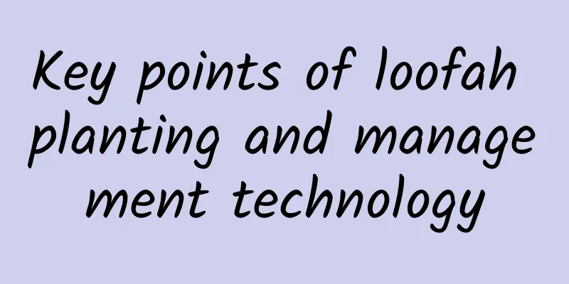 Key points of loofah planting and management technology