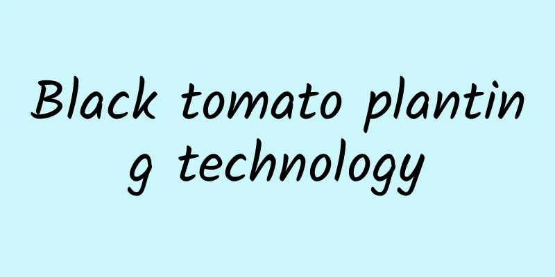 Black tomato planting technology