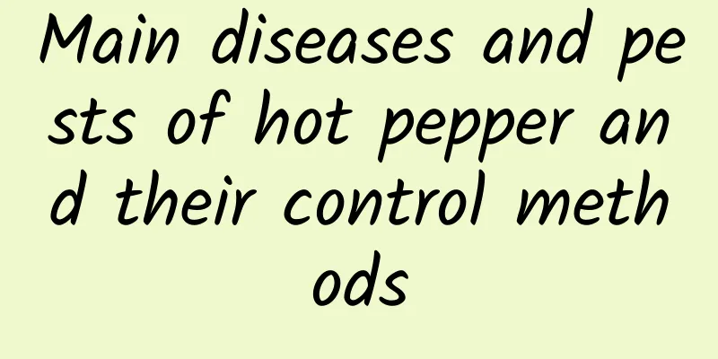 Main diseases and pests of hot pepper and their control methods