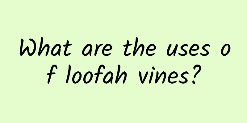 What are the uses of loofah vines?