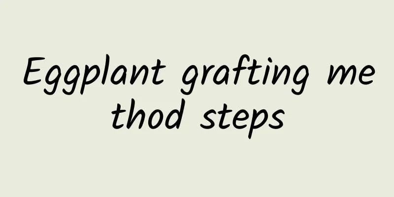 Eggplant grafting method steps