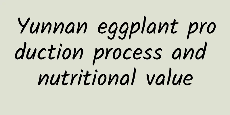 Yunnan eggplant production process and nutritional value