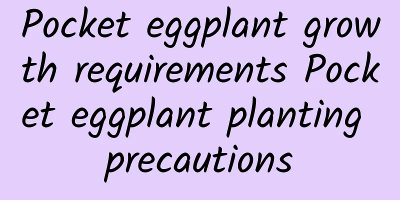 Pocket eggplant growth requirements Pocket eggplant planting precautions