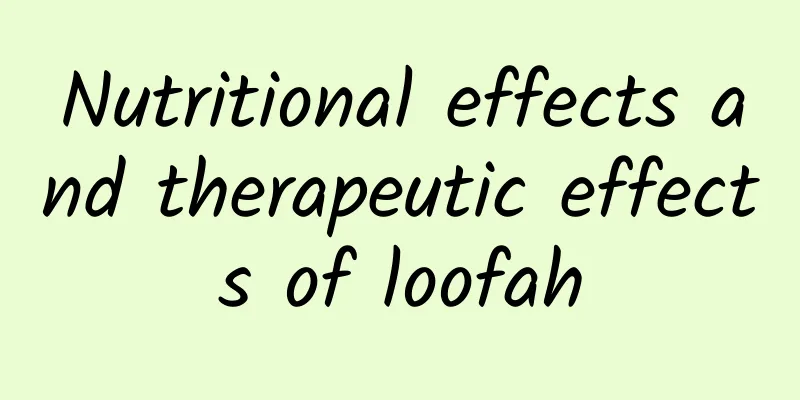 Nutritional effects and therapeutic effects of loofah