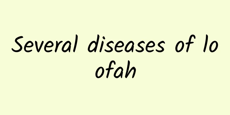 Several diseases of loofah