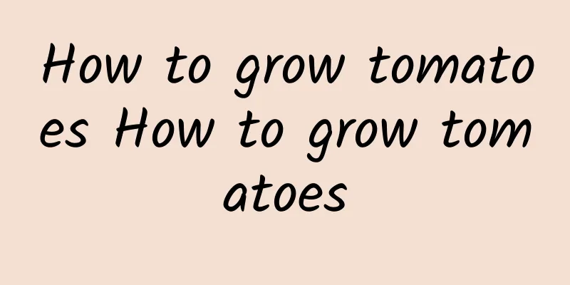 How to grow tomatoes How to grow tomatoes