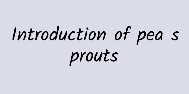 Introduction of pea sprouts