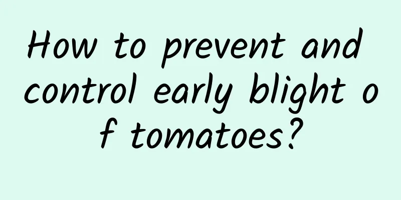 How to prevent and control early blight of tomatoes?