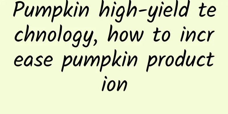 Pumpkin high-yield technology, how to increase pumpkin production