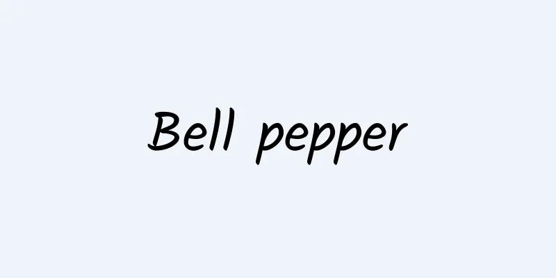 Bell pepper